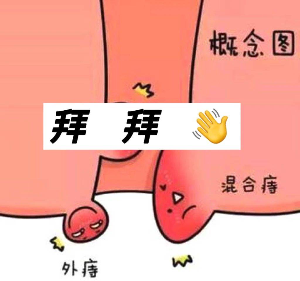 改善痔疮便血肉球脱出还得用它,效果立竿见影!