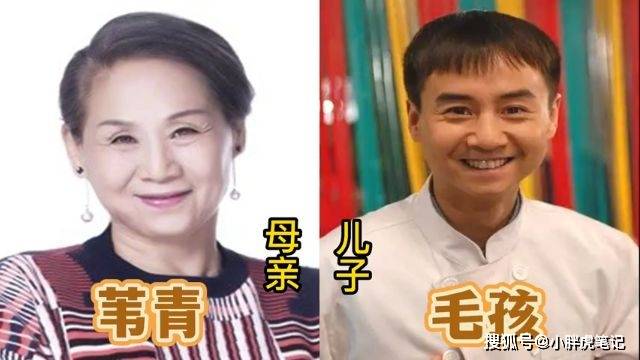 隐藏深的明星母子,李玲玉儿子颜值高,杜海涛和妈妈长得一模一样
