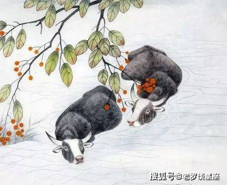 未来十五天的生肖运势(12生肖未来5年运势抢先看!你会过得怎么样?上)