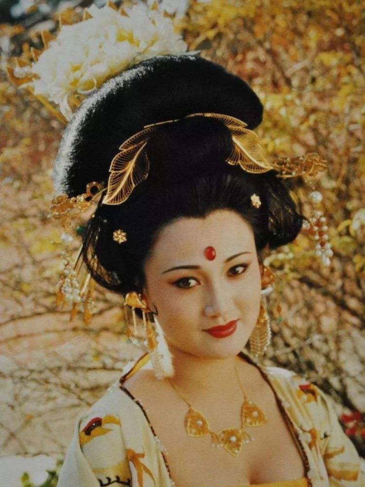 在这个关键时候,有小人谨言说李瑁的妻子杨玉环貌美如花,多才多艺.