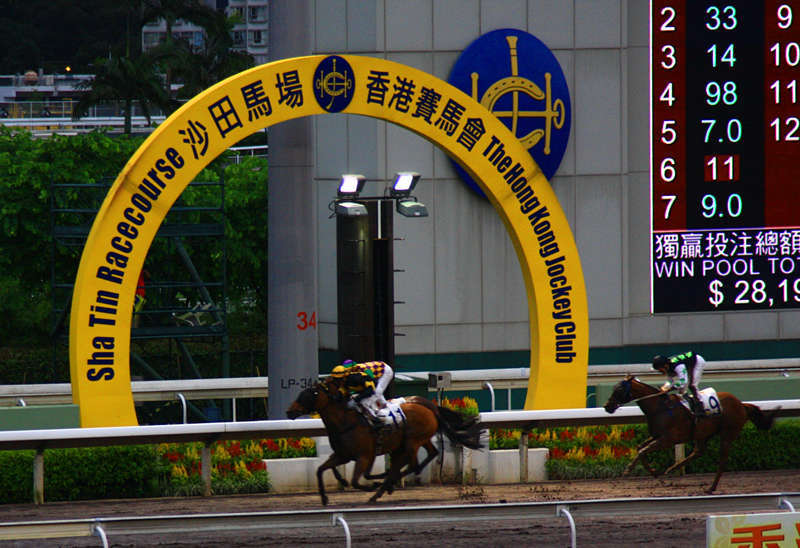 香港赛马日程表图片