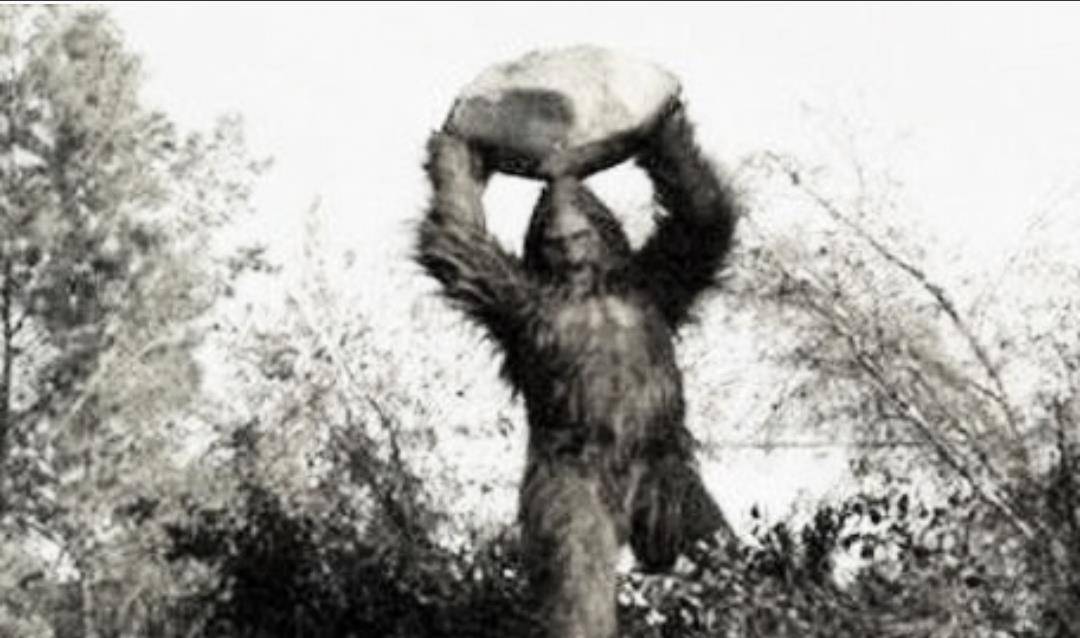 越战期间,曾有野人到美军食堂偷盗食物_温克勒·西蒙_阿登·赫塞_怪物