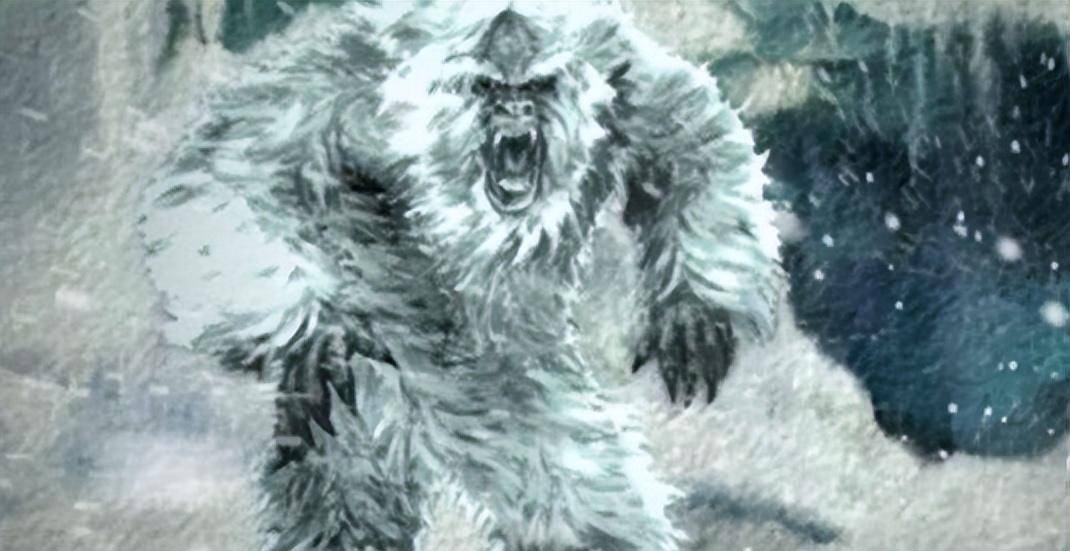 西藏野人袭击牲口,老兵曾看到离奇一幕,据传尸体能卖1000万元