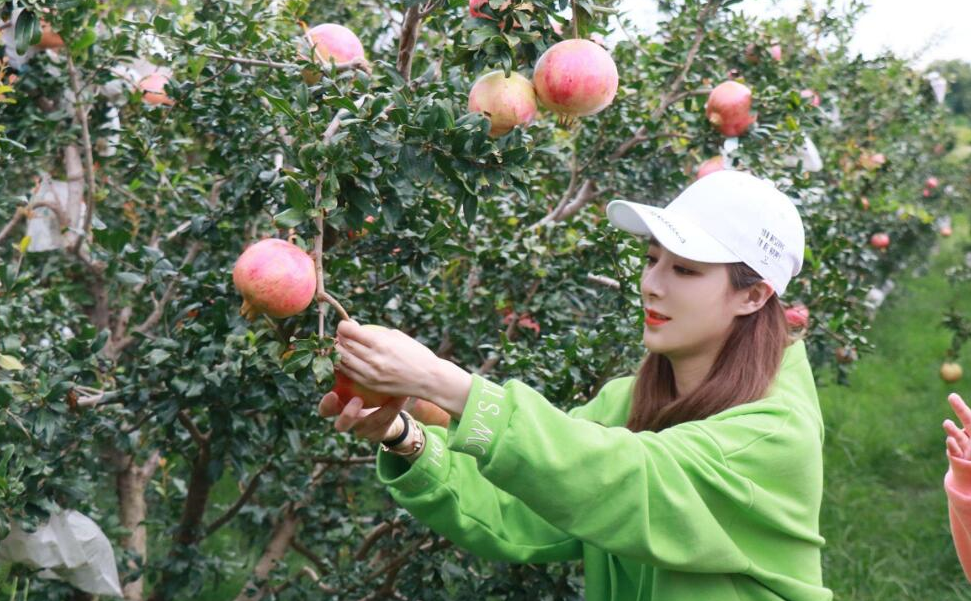 薇娅首次跨界直播:仅仅十分钟卖出了700多万的儿童牙刷,好厉害