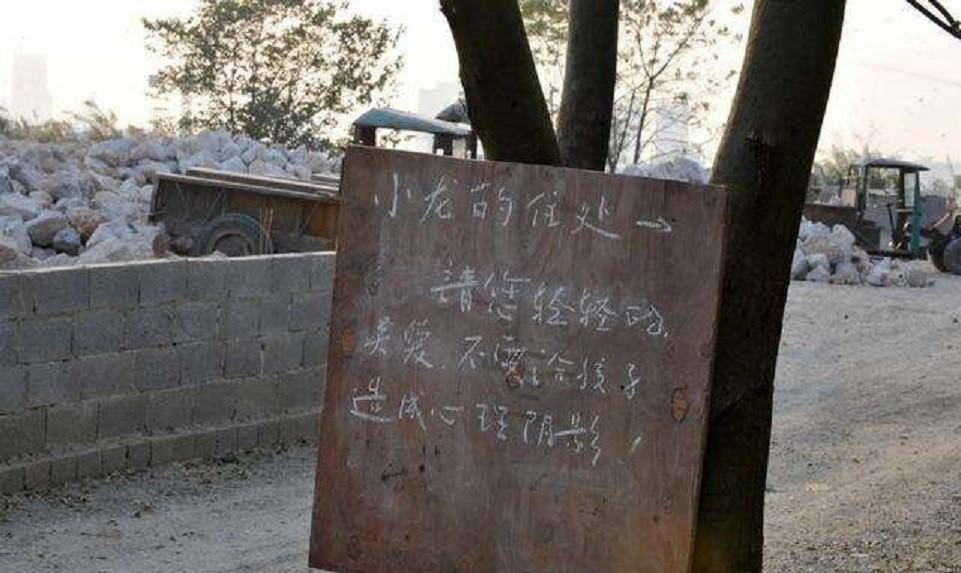 父母患艾滋去世,6岁小儿被村民隔绝,他开始独立生活,酷爱练武