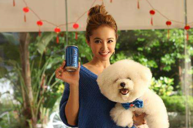 5种很萌的狗狗,昆凌,赵丽颖,蔡依林的狗子都上榜啦_泰迪_性格_银狐