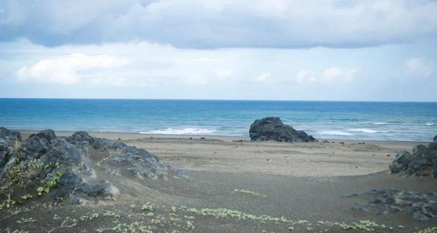 今年一些家电企业渠道策略又变了-家电圈官网