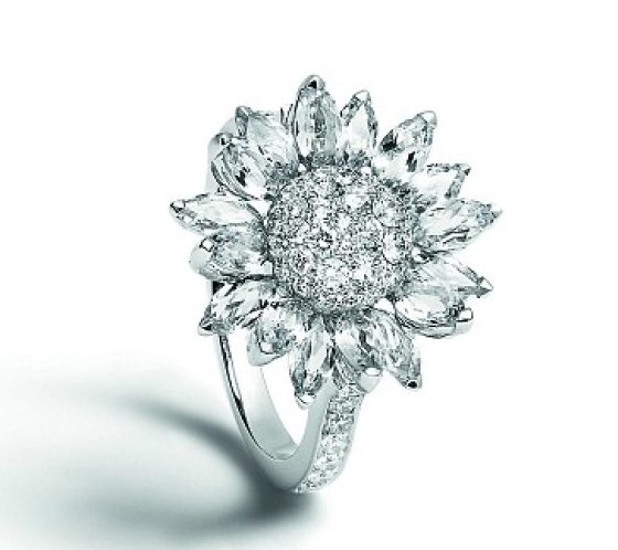 十二星座的超闪大钻戒,处女座的完美,天秤座的超级贵!