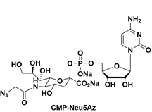 cmp-neu5az;胞嘧啶单磷酸n-乙酰神经氨酸腙的描述