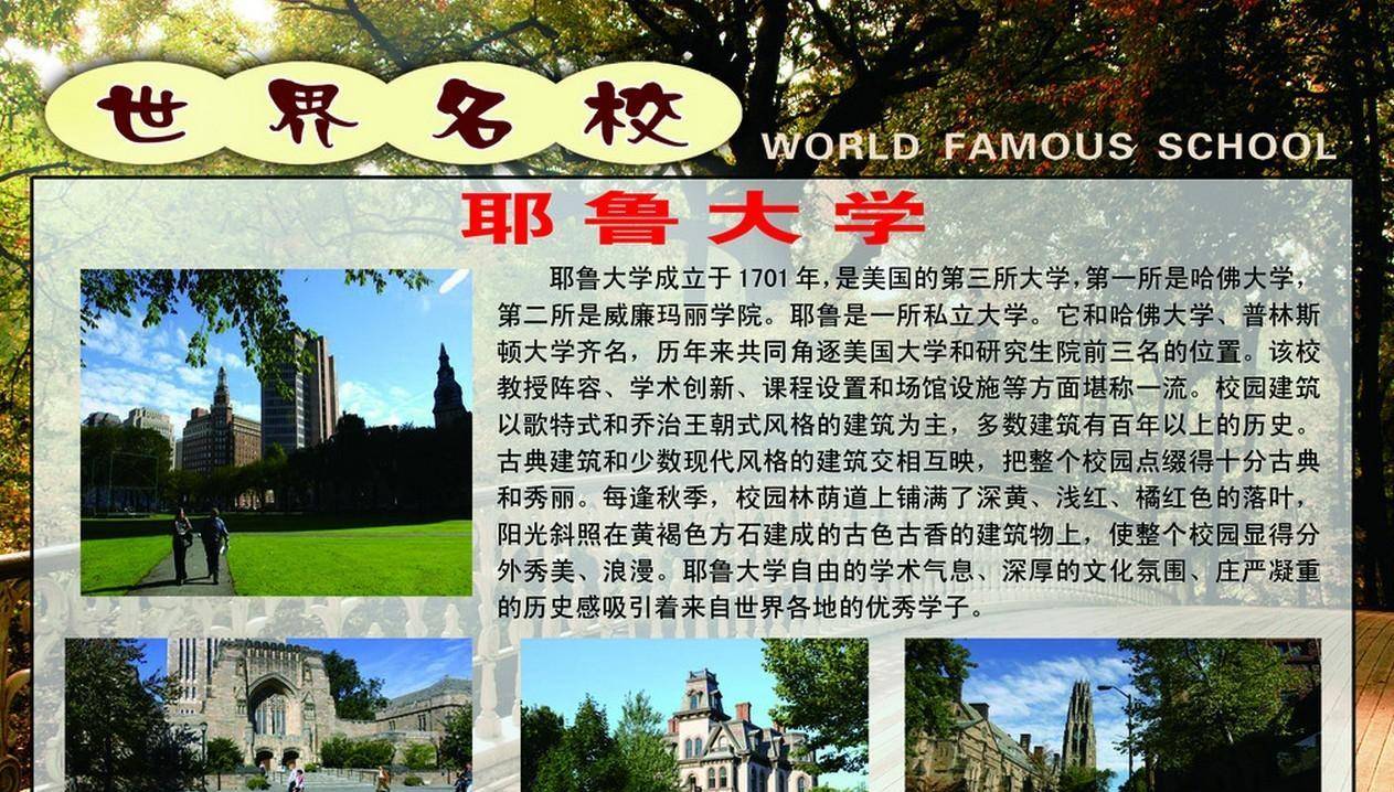 重庆小伙考上耶鲁大学,毕业后拒绝百万年薪当村官,后来怎样了?