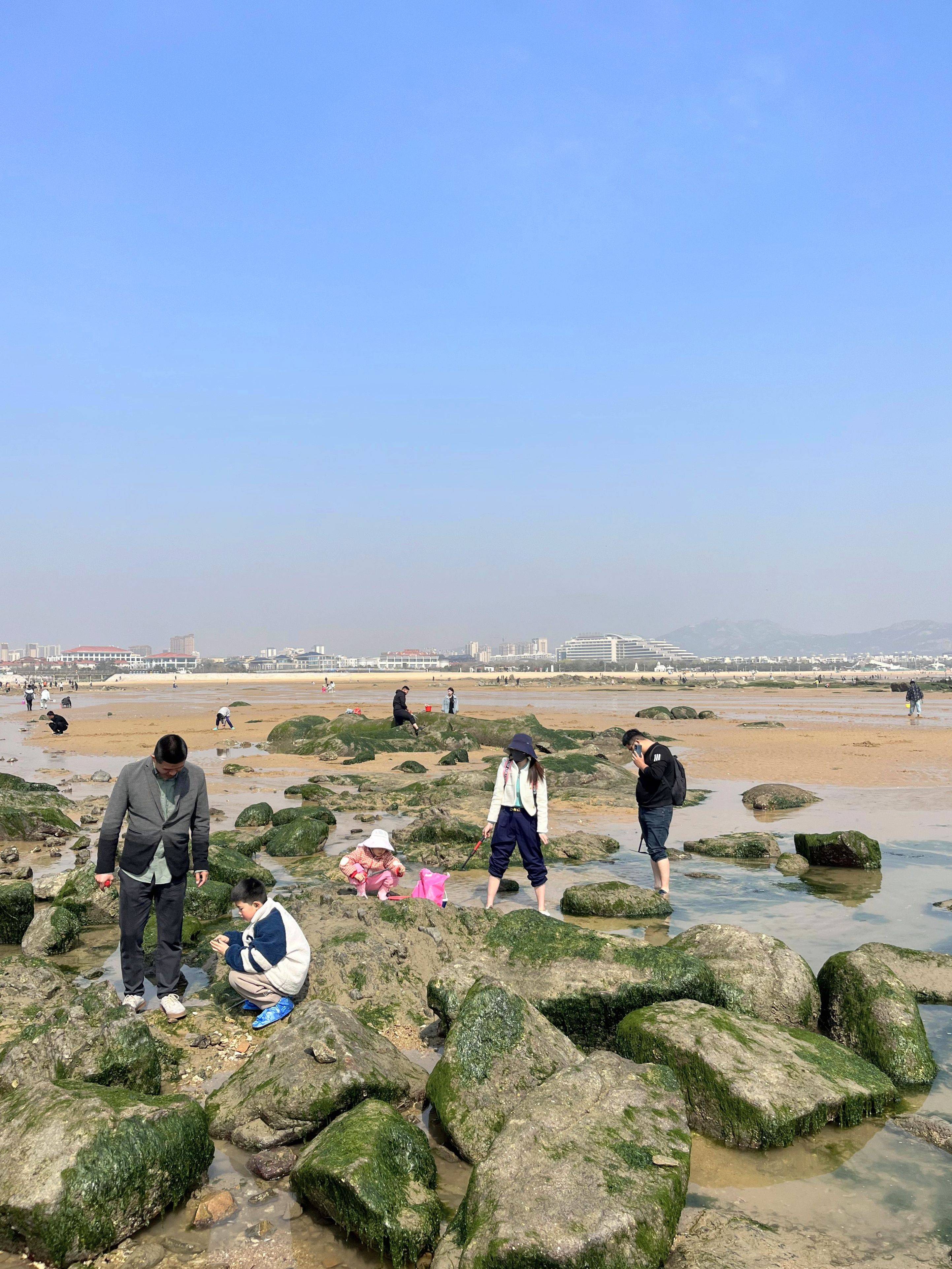 样,可以上网查噢～〖5号门〗○带娃的可以去旁边的海洋公园,门票220r