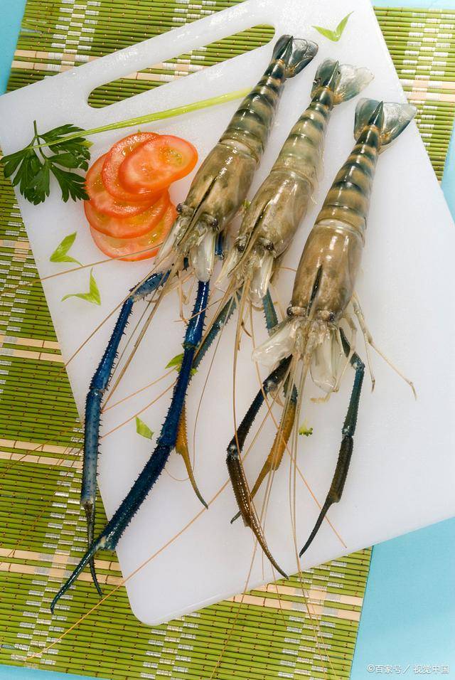 连云港顺旺水产养殖有限公司|罗氏虾养殖的条件和方法