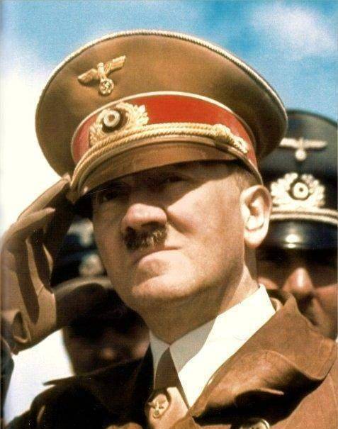 初中历史课本希特勒图片