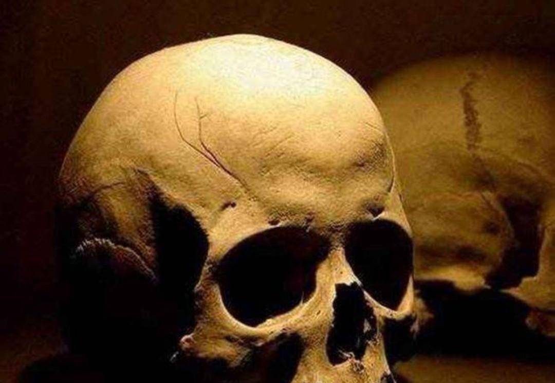 汉宫里的另类宝贝,王莽的头骨,被精心保存了近三百年_皇宫_头颅_宝物