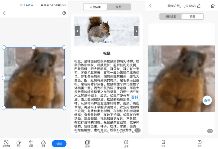 扫描图片识别东西,这几款神器值得推荐!_动物_软件_数字化