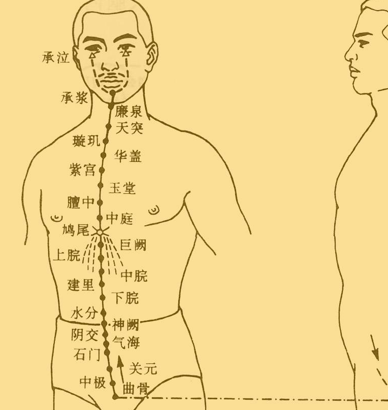 西方_经脉_中国