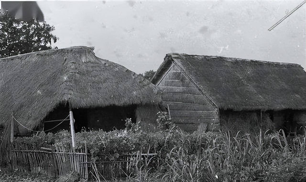抗战时期伟大的女性之一,红嫂的原型,曾用乳汁喂养八路军_明德英_生活