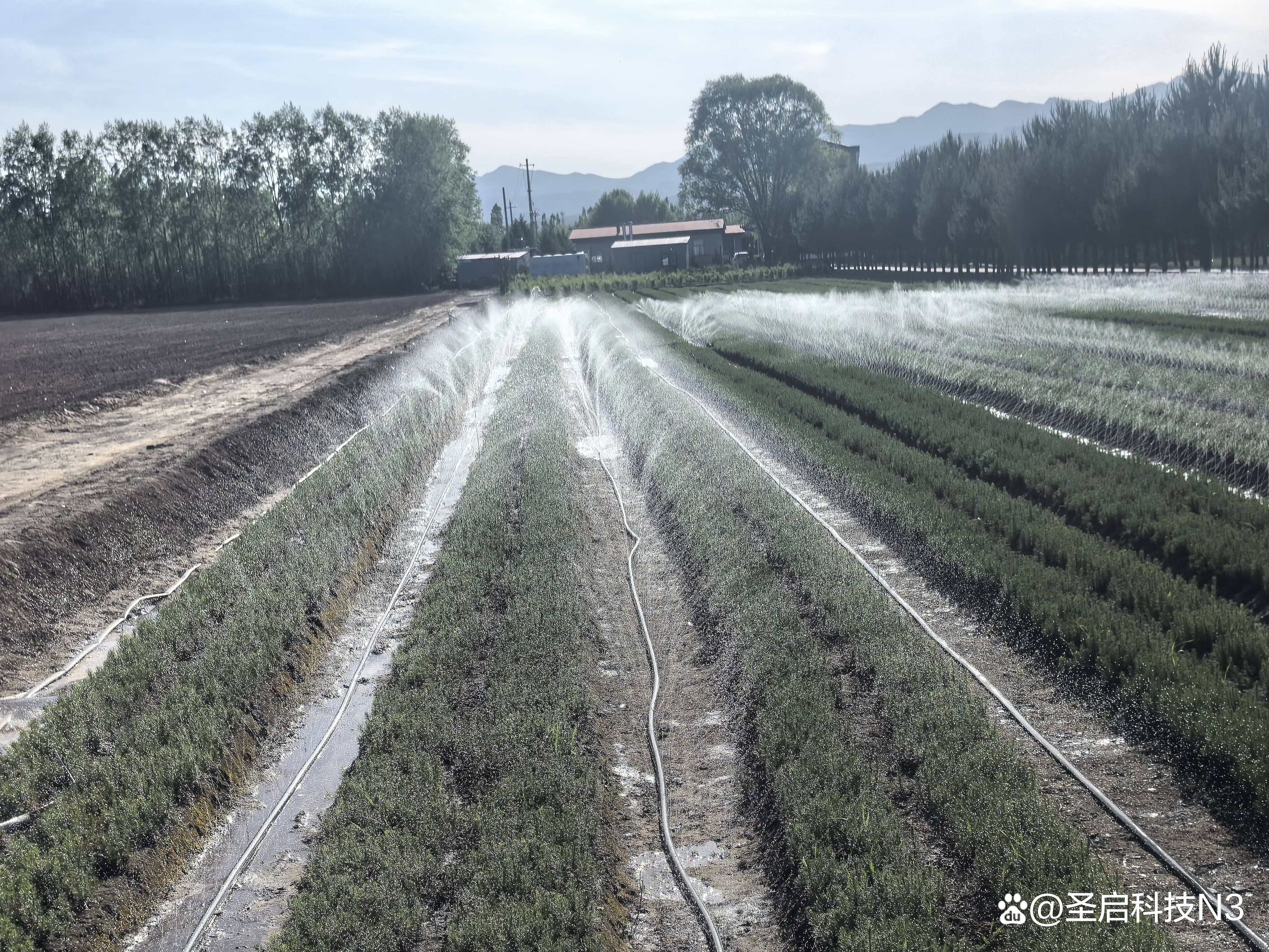 甜蜜事业实现新升级,水肥一体化智能灌溉系统建设迈上新台阶