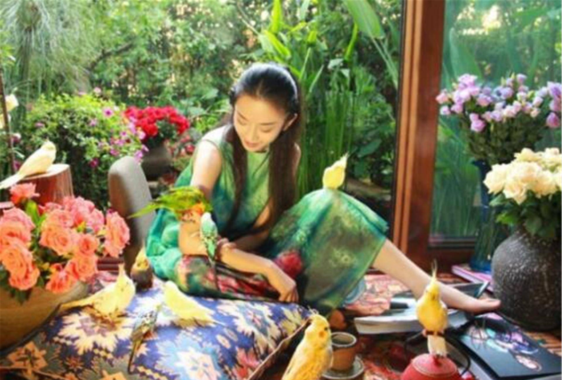 杨丽萍3000万造"月亮宫",却被查封,外表好看掩盖不住"肮脏"