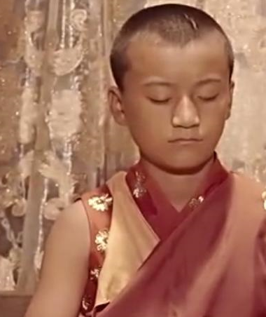 宣政院和帝师,元世祖忽必烈掌控吐蕃的两大王牌_西藏地区_萨迦_蒙哥