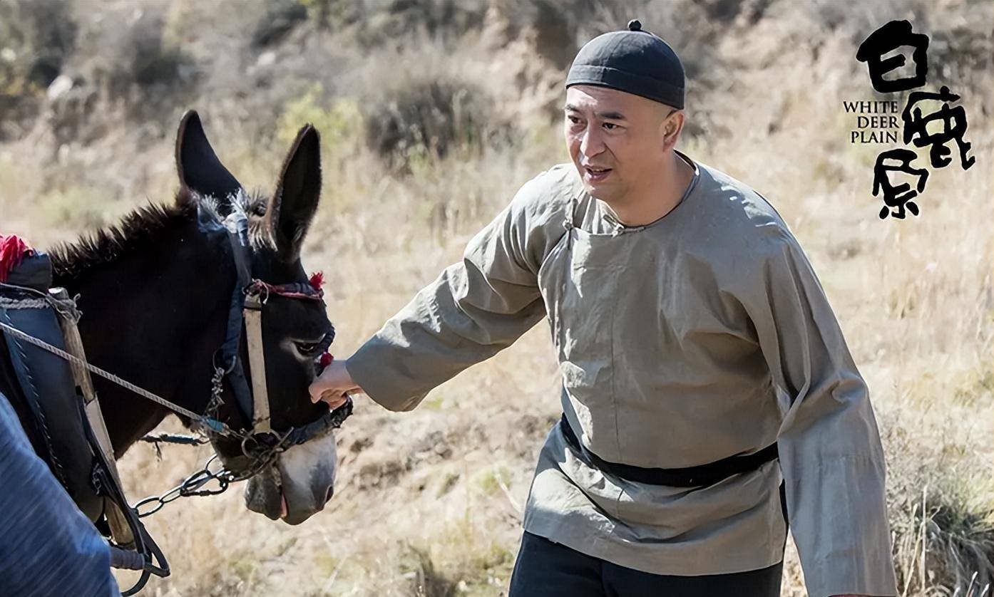 《白鹿原》:用刺刷鞭打见死不救,白嘉轩为何对孝文如此绝情