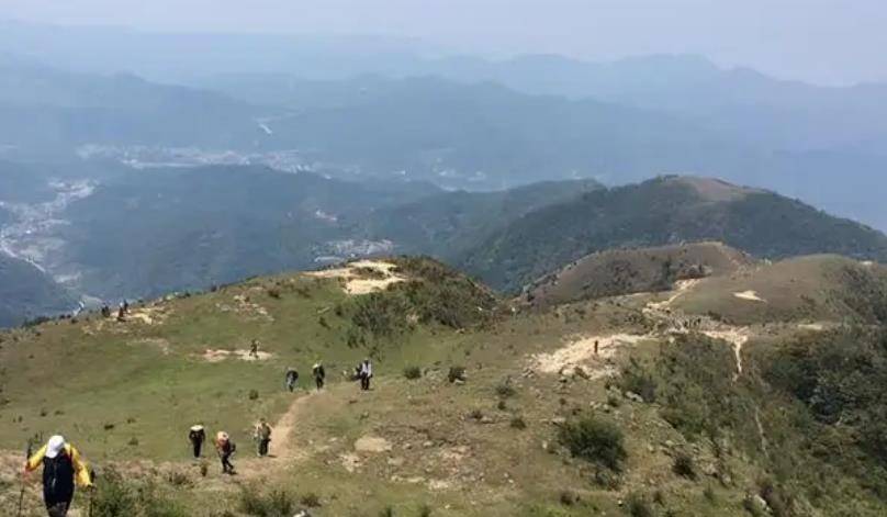 捕蛇人程地明:因不听老人劝告,被蛇追杀5年,死后墓地成蛇坟