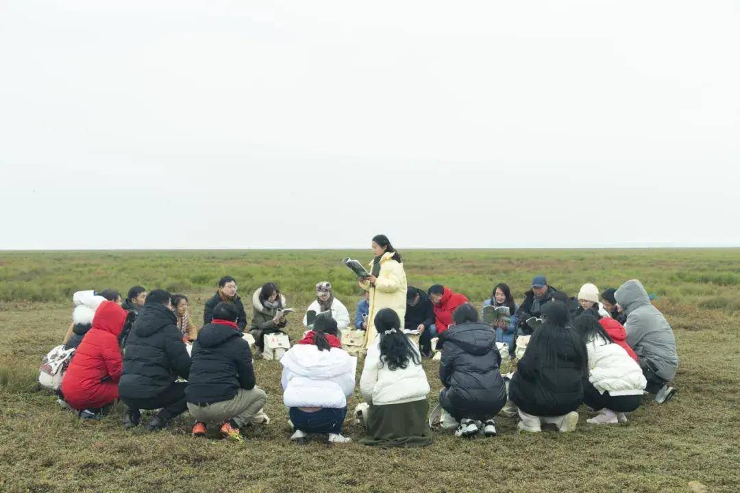 寻找候鸟的翅膀