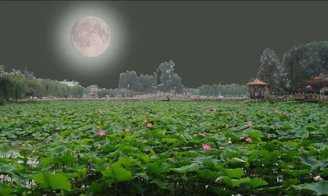 家长建议将《荷塘月色》移出教材,因为其中8个字,你能认可吗?_朱自清_