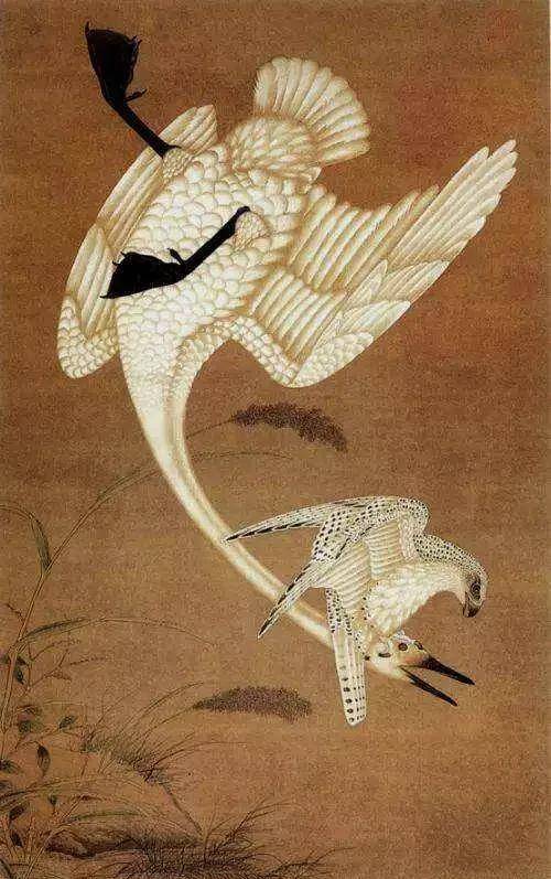 辽金时期,海东青为什么能成为最珍贵的贡品?间接导致朝代更迭