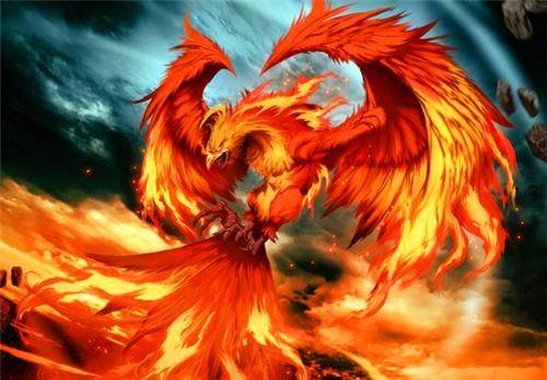 哪九雏?却鲜有人知