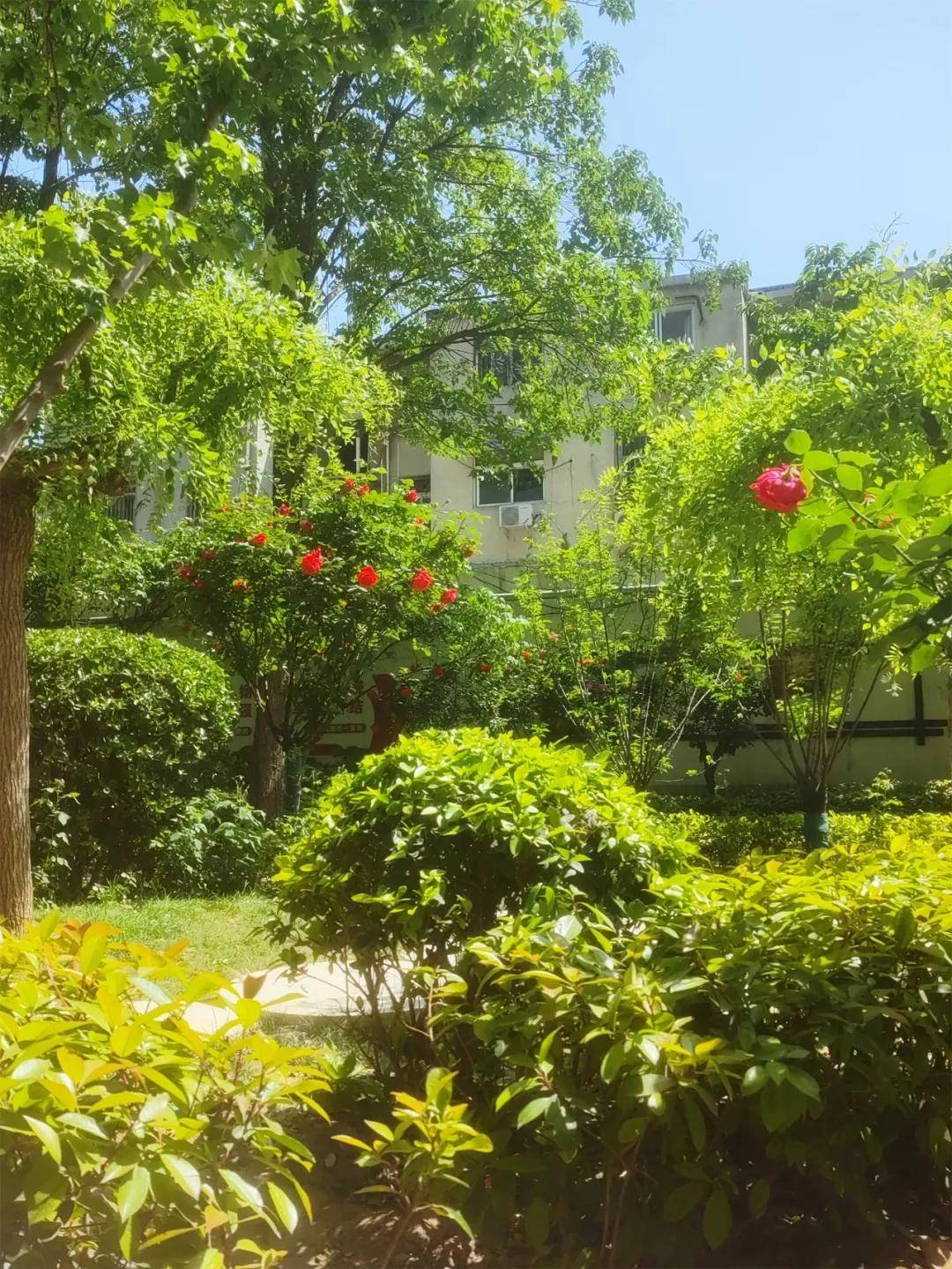 缘《春到戚城》 四3班  陈玖廷《樱花笑了》五10班 王依诺图片说明:这