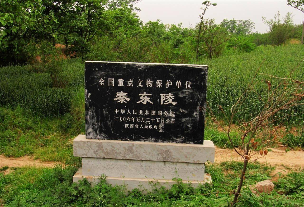 1986年,秦东陵被发现,这是秦始皇祖先墓葬群,根据史料考证有宣太后,昭