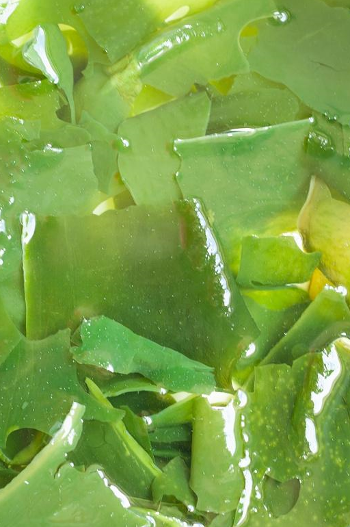 内膜薄的姐妹也快学!接好孕