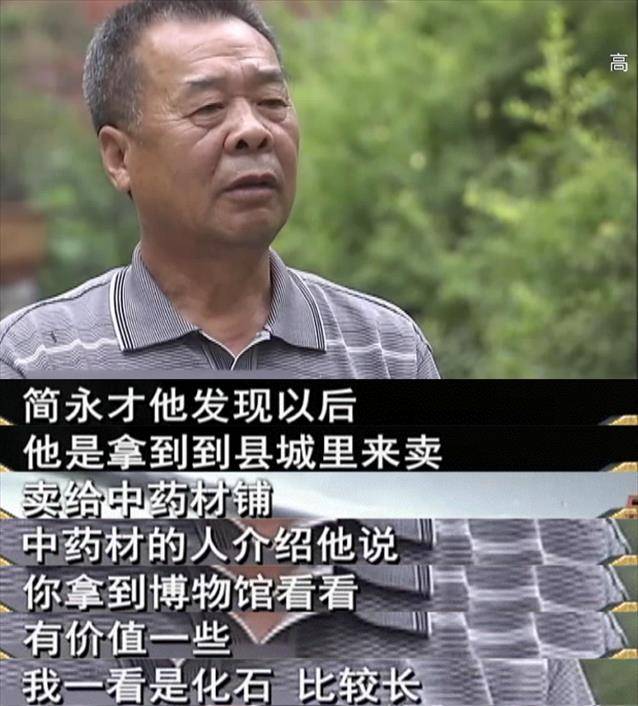 解密郧县考古之谜:村民捡到一块石头,结果却"推翻"了进化论