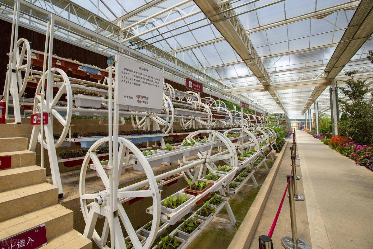 新农文化|如何塑造至臻完善的现代农业产业园区?