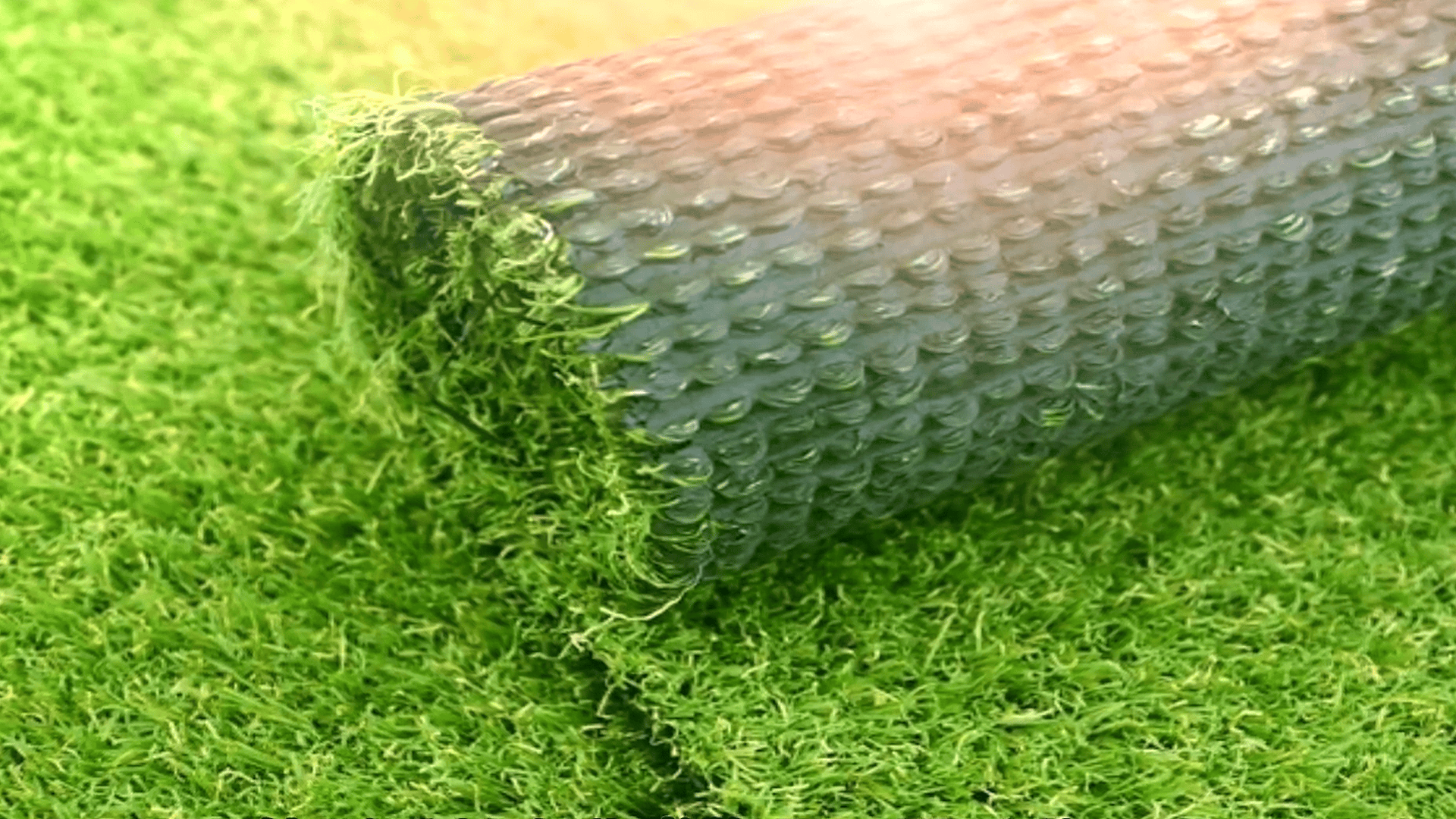 西双版纳河中"吸血毯",把动物拖下水吃掉,究竟是什么动物?