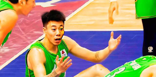 揭秘张镇麟篮球之路_辽宁_王芳之_前锋球员