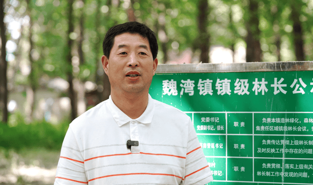 曹县魏湾镇张康村:生态美引来百鸟栖