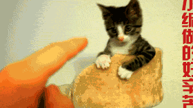 美女刚把零食塞嘴里,却被狗狗一口咬住,网友:画面太美不敢想象_主人_