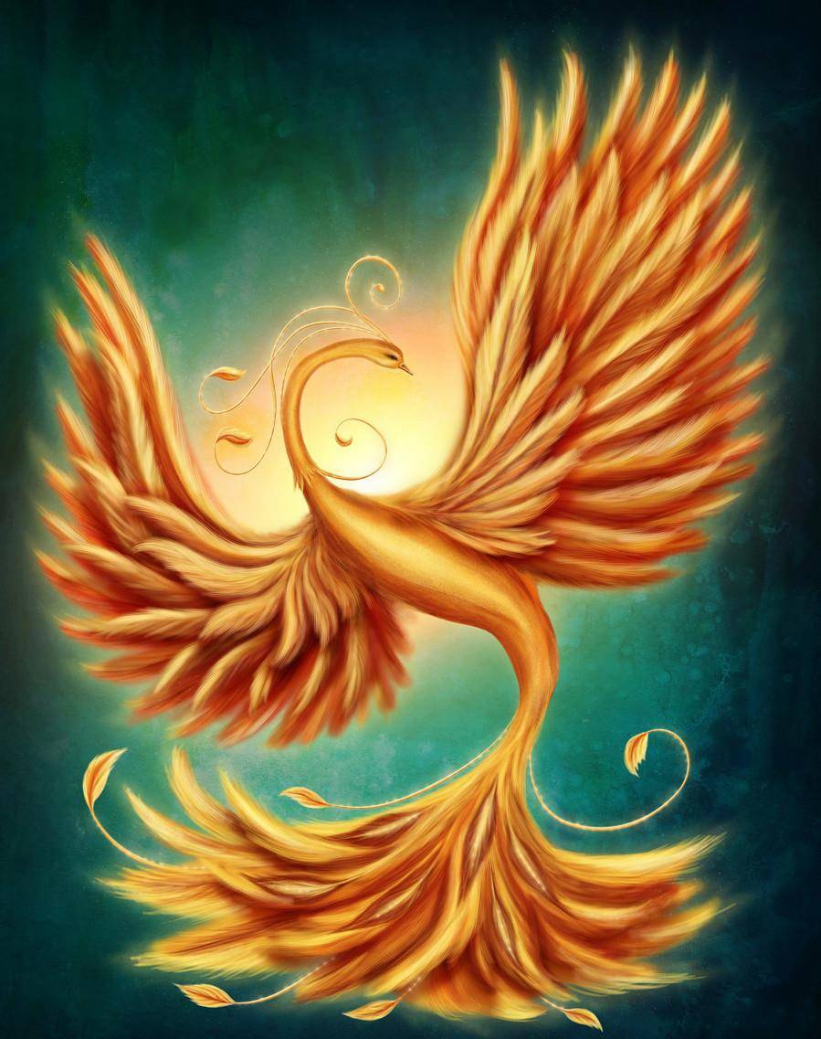 揭秘!凤凰的第九子是上古邪鸟,传说死在了青丘