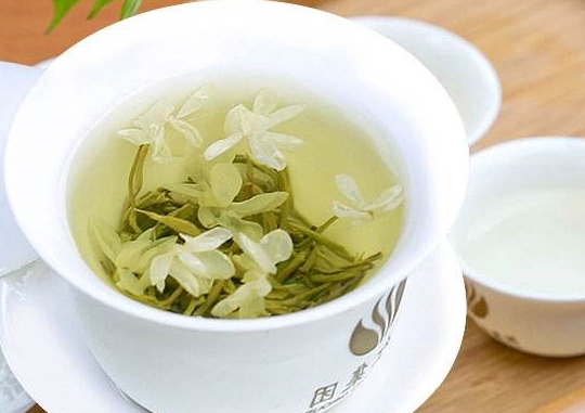 当茉莉花与绿茶在春天相遇,他们变成了碧潭飘雪