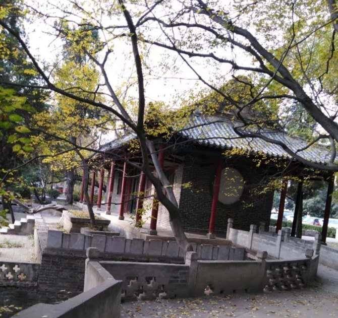 济宁最有"故事"的"四大庄",值得你去看一看