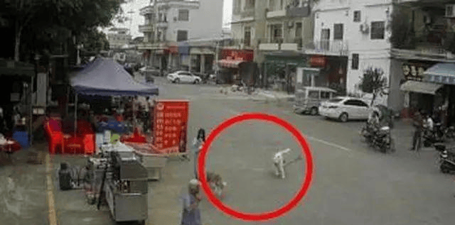 被狗绳绊倒的老人倒地身亡,十二岁的主人却跑了,她会被判刑吗?