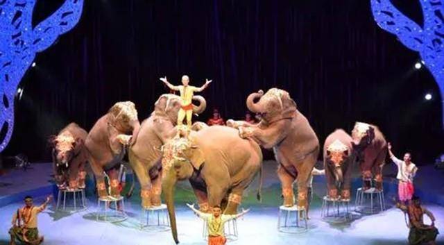 袖珍姑娘梁小小:出生时重2.1千克,身长33厘米,3岁时停止生长