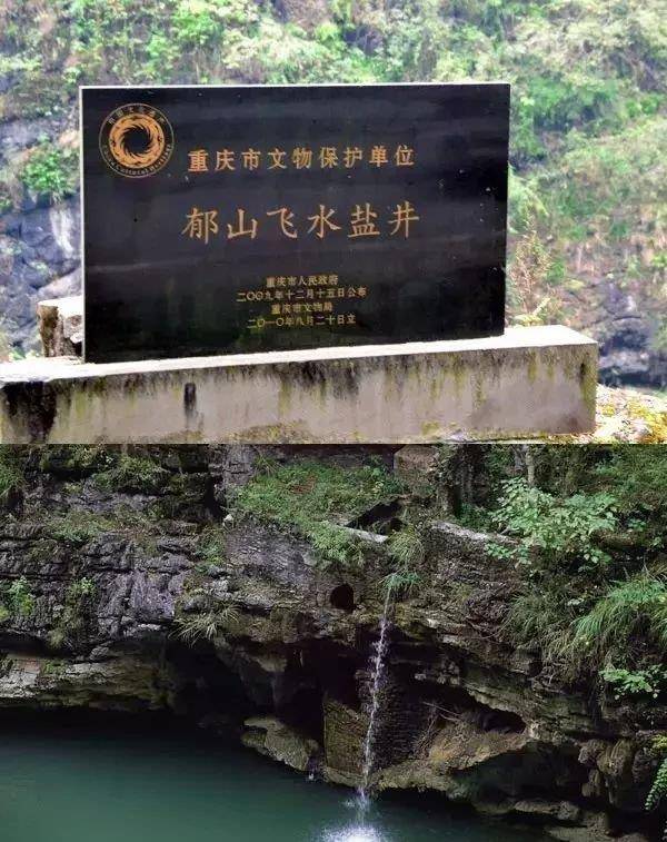 来看看你的祖先来自哪里?