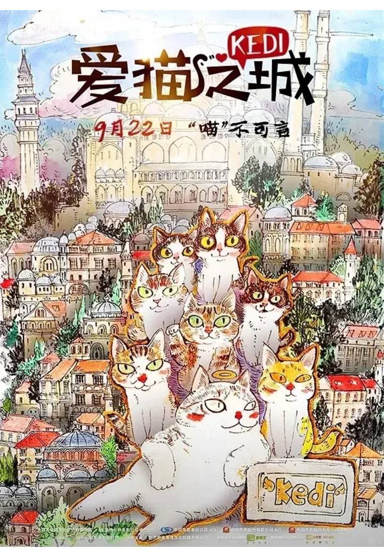 《伊斯坦布尔的猫》同人海报这部《伊斯坦布尔的猫》,也不像不像其他