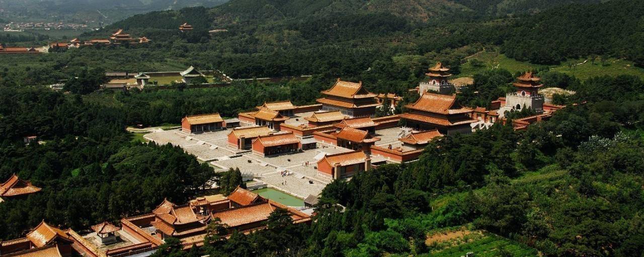 王绍义伪装弹棉花农民盗墓,被"敌工部"堵个正着:这次要发财了