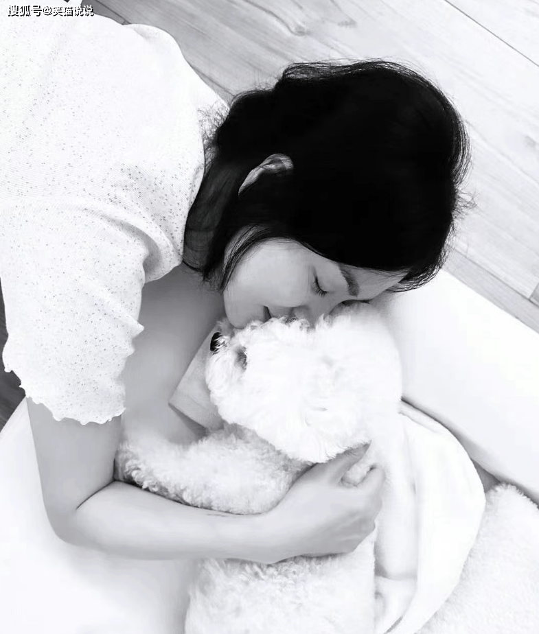 宋慧乔晒与爱犬合照:抱着小狗好开心,闭眼亲吻ruby好温柔