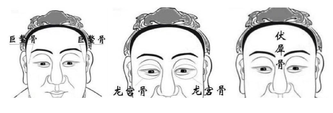 老人常说头生九龙骨