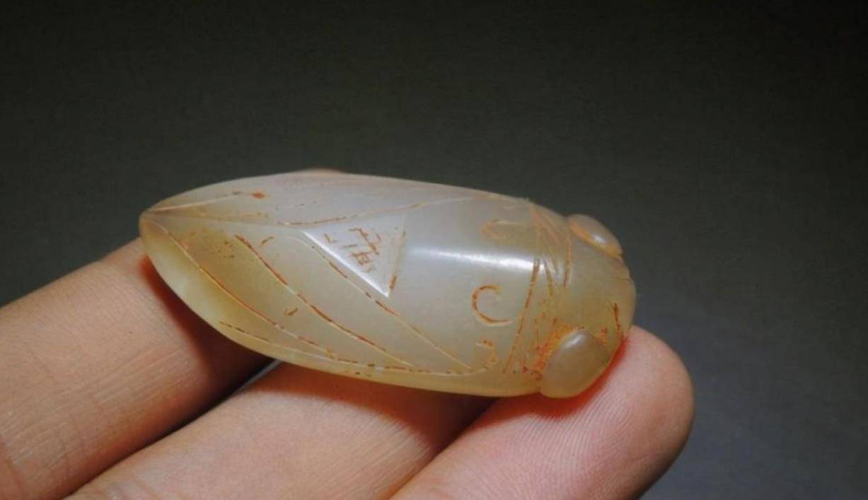 美女带"玉蝉"鉴宝,称已贴身佩戴10年,专家:你真是胆大包天!